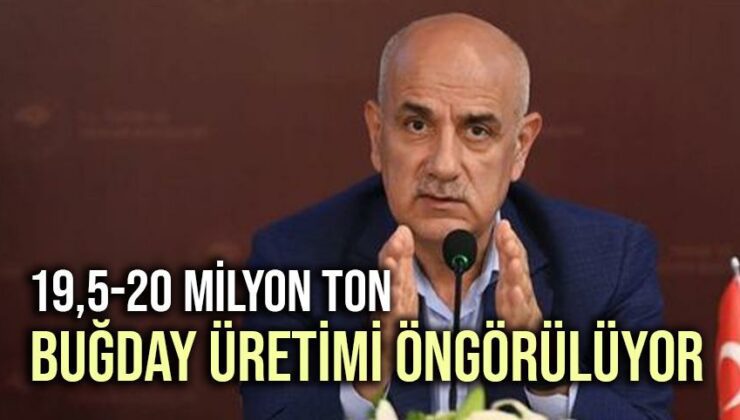 19,5-20 Milyon Ton Buğday Üretimi Öngörülüyor