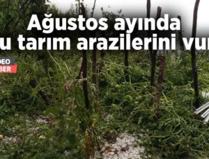 Ağustos Ayında Dolu Tarım Arazilerini Vurdu