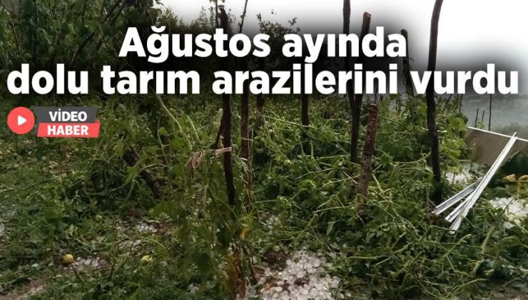 Ağustos Ayında Dolu Tarım Arazilerini Vurdu