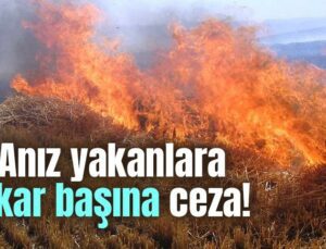 Anız Yakanlara Dekar Başına Ceza!