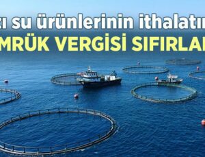 Bazı Su Ürünlerinin Ithalatında Gümrük Vergisi Sıfırlandı