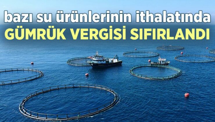 Bazı Su Ürünlerinin Ithalatında Gümrük Vergisi Sıfırlandı