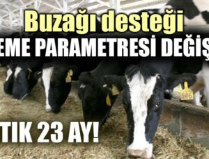 Buzağı Desteği Üreme Parametresi Değişti!