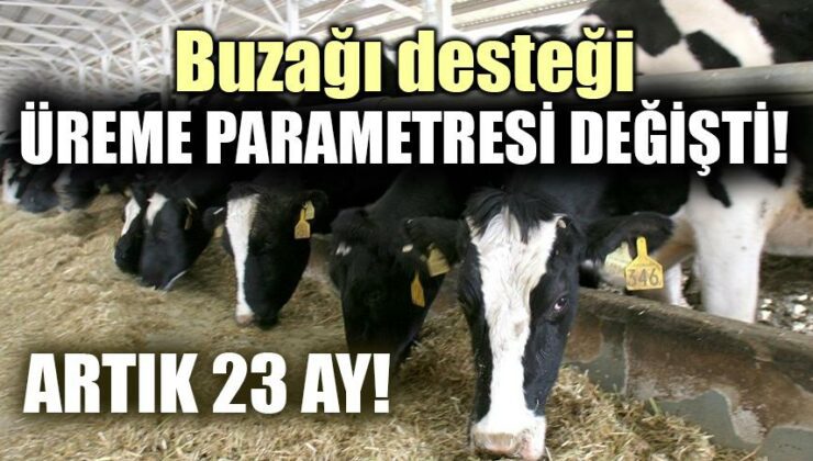 Buzağı Desteği Üreme Parametresi Değişti!