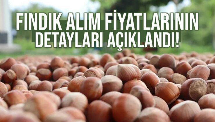 Fındık Alım Fiyatlarının Detayları Açıklandı