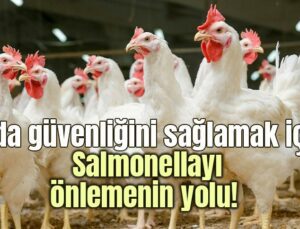 Gıda Güvenliğini Sağlamak Için Salmonella’Yı Önlemenin Yolu!