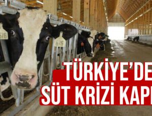 Türkiye’de Süt Krizi Kapıda