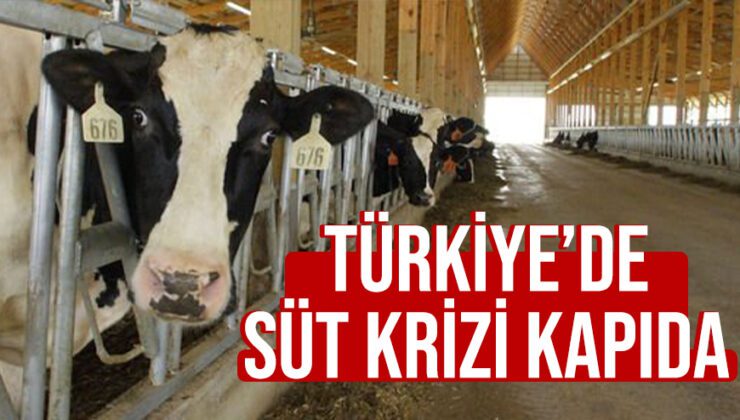 Türkiye’de Süt Krizi Kapıda