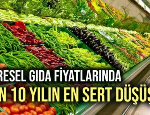 Küresel Gıda Fiyatlarında Son 10 Yılın En Sert Düşüşü!