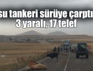 Su Tankeri Sürüye Çarptı: 3 Yaralı, 17 Telef