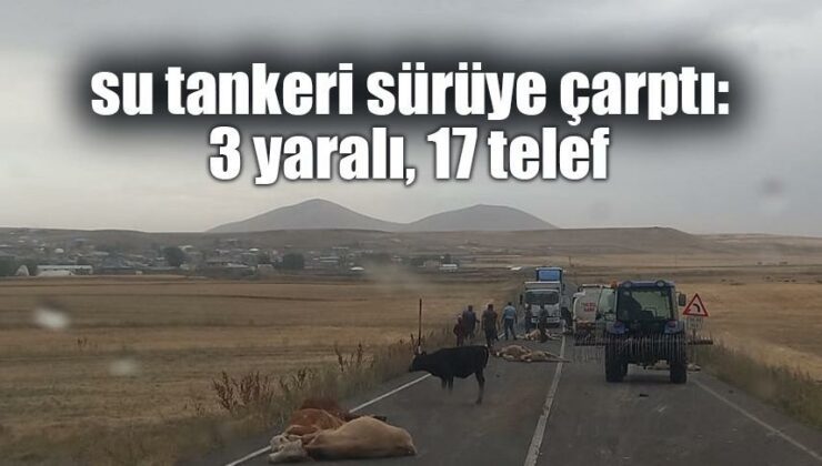 Su Tankeri Sürüye Çarptı: 3 Yaralı, 17 Telef