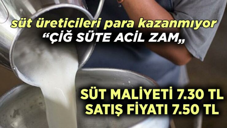 Süt Üreticileri Para Kazanmıyor “Çiğ Süte Acil Zam”