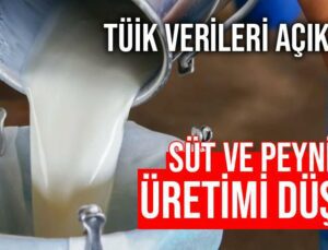 Süt Ve Peynir Üretimi Düştü