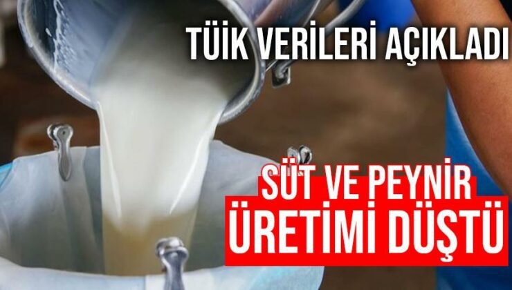 Süt Ve Peynir Üretimi Düştü