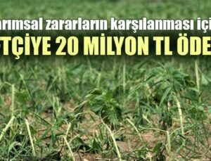 Tarımsal Zararların Karşılanması Için Çiftçiye 20 Milyon Tl Ödeme