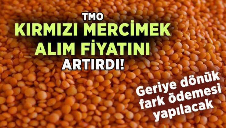 Tmo Kırmızı Mercimek Alım Fiyatını Artırdı!