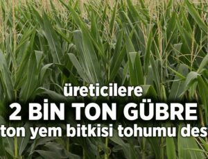 Üreticilere 120 Ton Yem Bitkisi Tohumu 2 Bin Ton Gübre Desteği