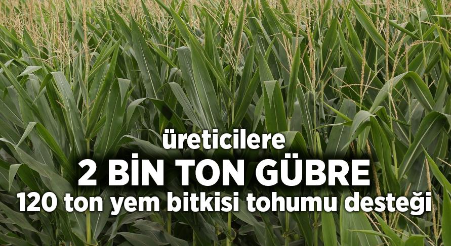 Üreticilere 120 ton yem bitkisi tohumu 2 bin ton gübre desteği