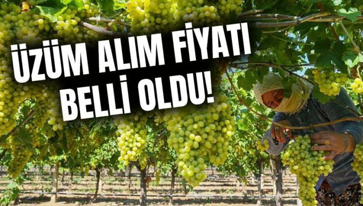 Üzüm Alım Fiyatı Belli Oldu