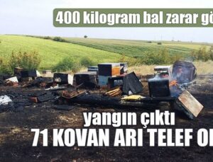 Yangın Çıktı, 71 Kovan Arı Telef Oldu 400 Kilogram Bal Zarar Gördü