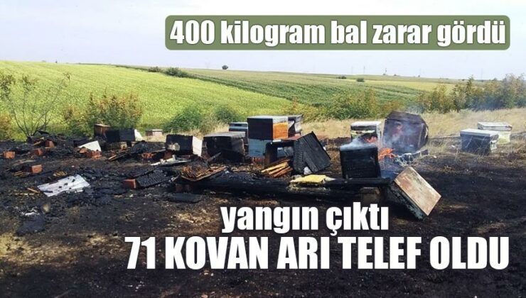 Yangın Çıktı, 71 Kovan Arı Telef Oldu 400 Kilogram Bal Zarar Gördü