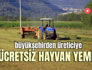 Büyükşehirden Üreticiye Ücretsiz Hayvan Yemi