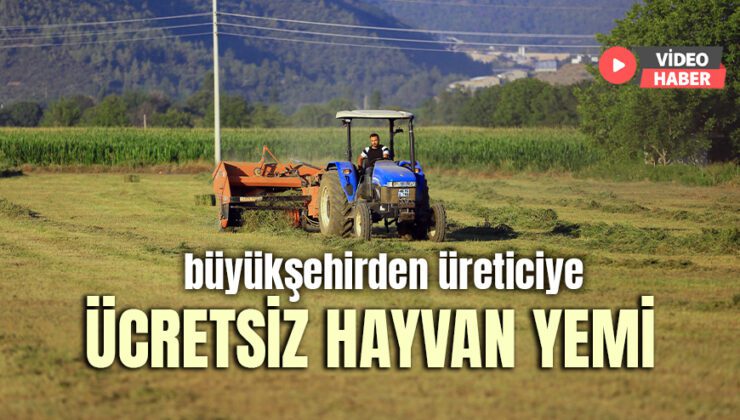 Büyükşehirden Üreticiye Ücretsiz Hayvan Yemi