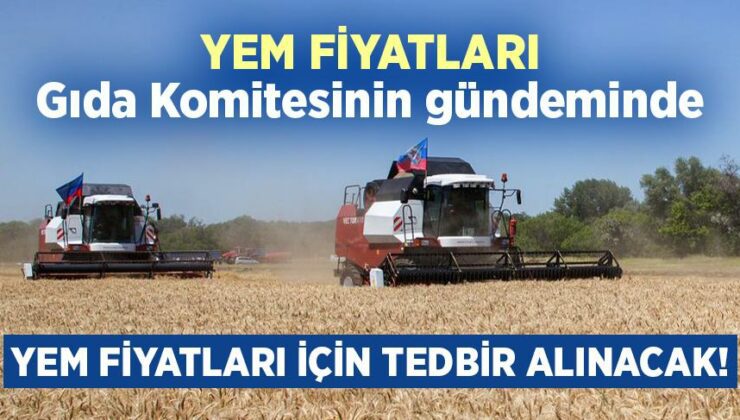 Yem Fiyatları Gıda Komitesinin Gündeminde