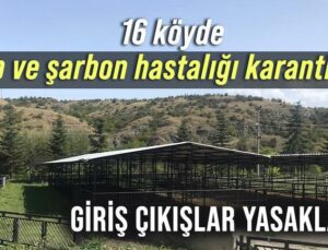 16 Köyde Şap Ve Şarbon Hastalığı Karantinası