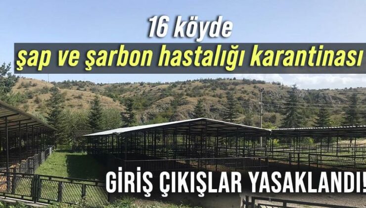 16 Köyde Şap Ve Şarbon Hastalığı Karantinası