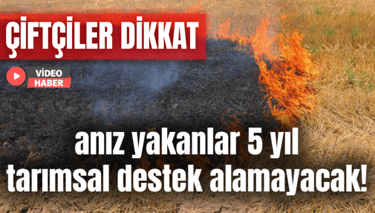 Çiftçiler Dikkat: Anız Yakanlar 5 Yıl Tarımsal Destek Alamayacak