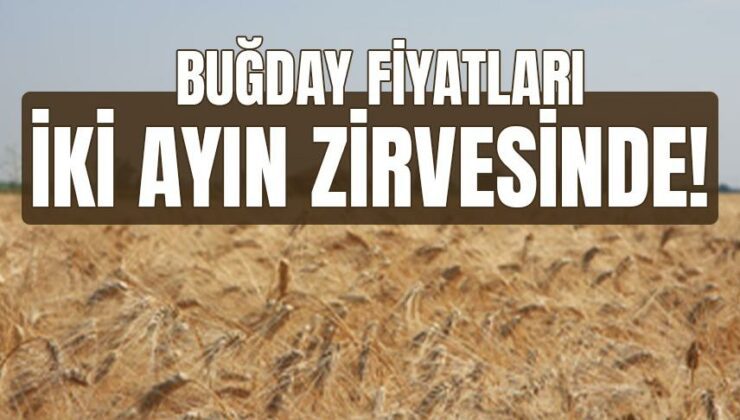 Buğday Fiyatları Iki Ayın Zirvesinde