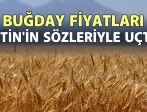 Buğday Fiyatları Putin’In Sözleriyle Uçtu