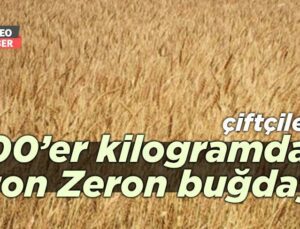 Çiftçilere 100’Er Kilogramdan 2 Ton Zeron Buğdayı