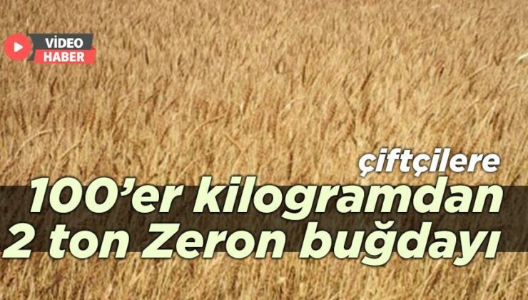 Çiftçilere 100’Er Kilogramdan 2 Ton Zeron Buğdayı