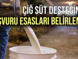 Çiğ Süt Desteğinde Başvuru Esasları Belirlendi