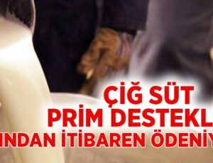 Çiğ Süt Prim Destekleri Yarından Itibaren Ödeniyor