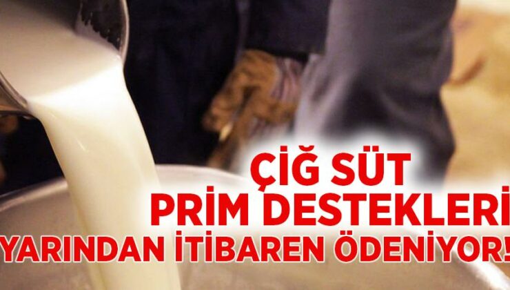 Çiğ Süt Prim Destekleri Yarından Itibaren Ödeniyor