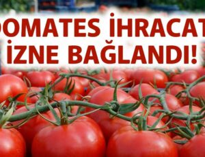 Domates Ihracatı Izne Bağlandı