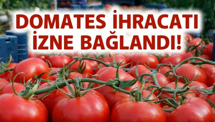 Domates Ihracatı Izne Bağlandı