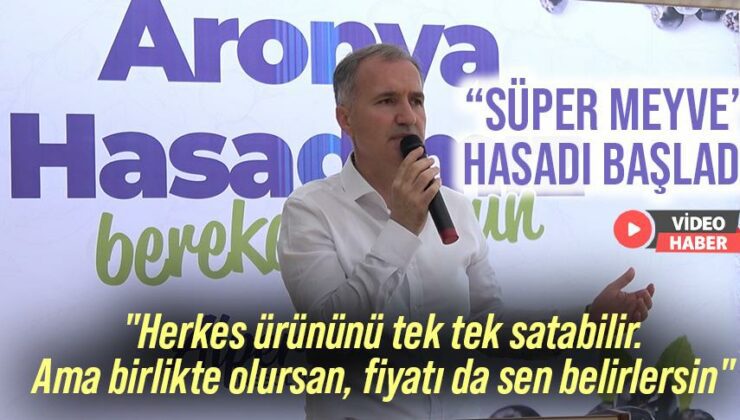 “Süper Meyve” Hasadı Başladı!