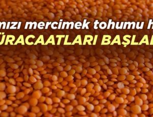 Kırmızı Mercimek Tohumu Hibe Müracaatları Başladı