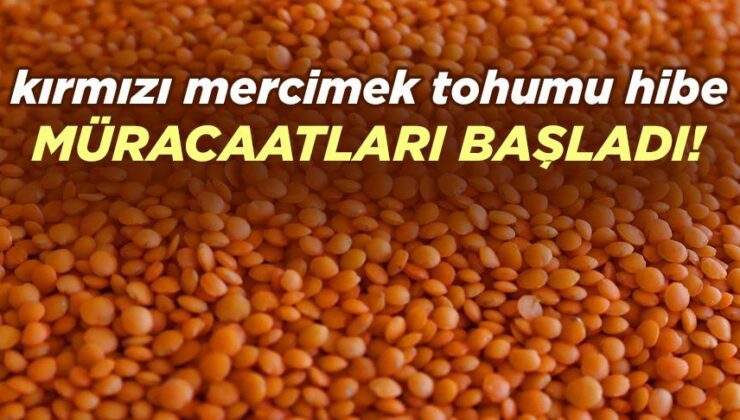 Kırmızı Mercimek Tohumu Hibe Müracaatları Başladı