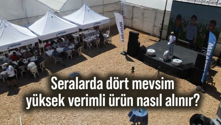 Seralarda Dört Mevsim Yüksek Verimli Ürün Nasıl Alınır?