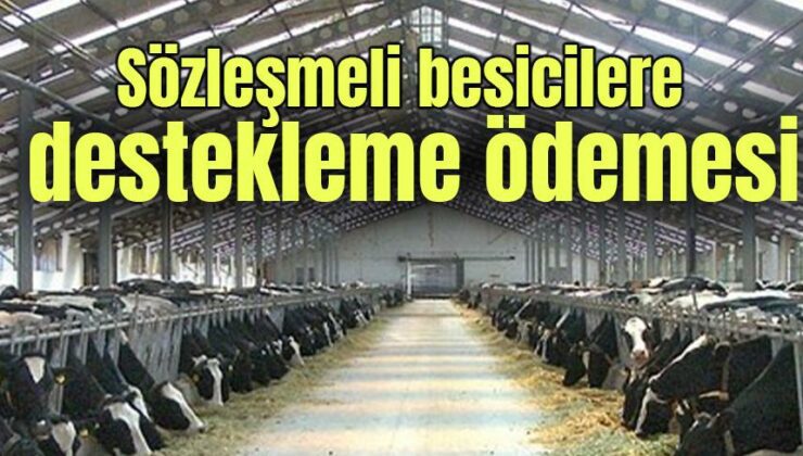 Sözleşmeli Besicilere Destekleme Ödemesi