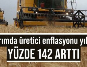 Tarımda Üretici Enflasyonu Yıllık Yüzde 142 Arttı