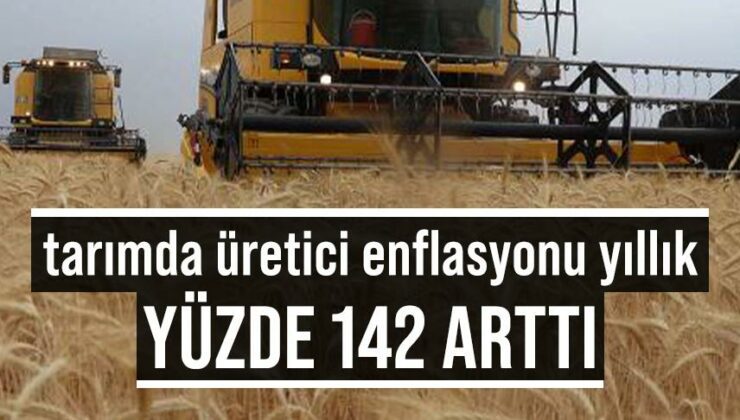 Tarımda Üretici Enflasyonu Yıllık Yüzde 142 Arttı