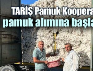 Tari̇ş Pamuk Kooperatifi Pamuk Alımına Başladı