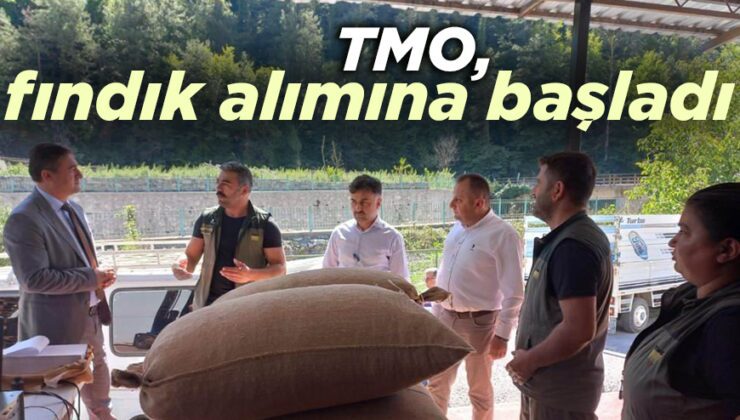 Tmo, Fındık Alımına Başladı