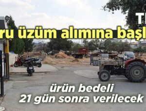 Tmo, Kuru Üzüm Alımına Başladı